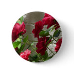 rose,red rose pins