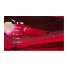 Rose Reflection Business Card Templates