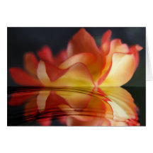 Rose Reflection Card