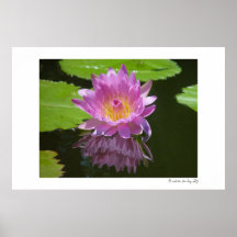 Rose Reflection Poster