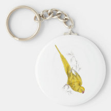 Rose-Ringed Parrakeet  (Yellow variety) by Edward Keychains
