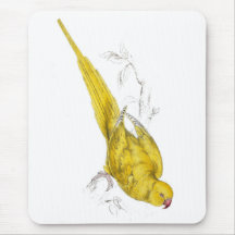 Rose-Ringed Parrakeet  (Yellow variety) by Edward Mouse Pads