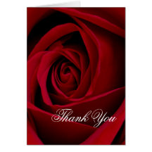 Rose rouge carte de vœux