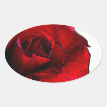 rose rouge Chypre Sticker Ovale