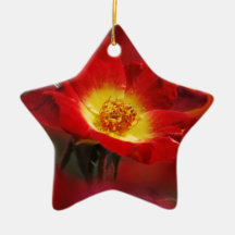 Rose rouge et jaune ornement de noël
