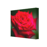 rose rouge impression sur toile