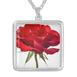 Rose rouge - les roses ont customisé le modèle colliers personnalisés