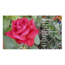 Rose rouge modèles de cartes de visite