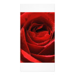 Rose rouge photocartes personnalisées