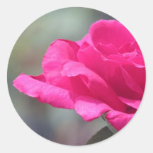 Rose Round Stickers