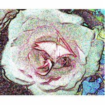 Rose sketch photo sculpture