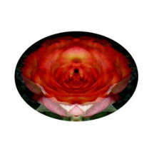 Rose-Spirit… (sculpture de photo) Photos En Relief