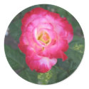 Rose stickers