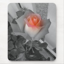 Rose Tapis De Souris