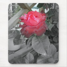 Rose Tapis De Souris