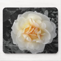 Rose Tapis De Souris