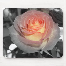 Rose Tapis De Souris