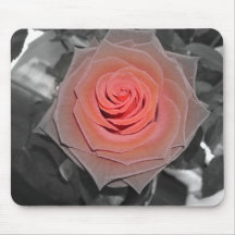 Rose Tapis De Souris