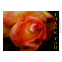Rose Thank You Note Card