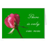 rose There is only one rose Greeting Cards