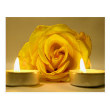 rose two candles bright yellow flower postcard