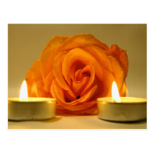 rose two candles yellow orange floral flower image post cards