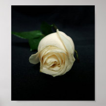 Rose V Print