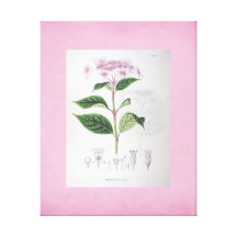 Rose vintage de toile d'art d'hortensia impressions sur toile