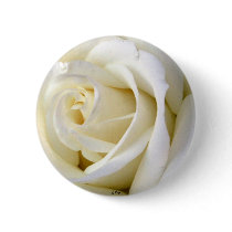 Rose White Button