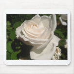rose,white mouse pad