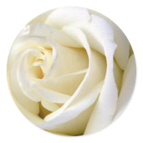 Rose White Round Stickers