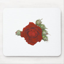 Rose with buds mouse pads