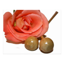 Rose with wooden percussion bell mallets postcards