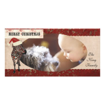 Rose Zebra Ivory & Red Christmas Photo Card