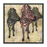 Rose Zebra Shadows Art Canvas Stretched Canvas Print