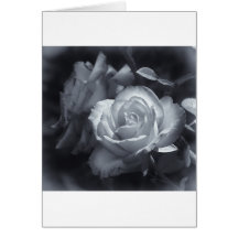 Rosebud Card