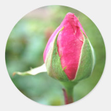 Rosebud, stickers