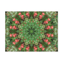 Rosehips Red Berries Mandala Post Cards
