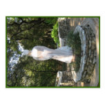 Rosemary Goddess Postcard
