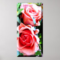 Rosenduo Plakate