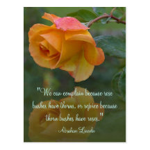Roses and Thorns Inspirational Postcard
