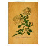 Roses are Golden cards