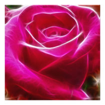 Roses Are Neon Pink Artistic & Unique Photo Print