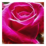 Roses Are Neon Pink Artistic & Unique Photo Print