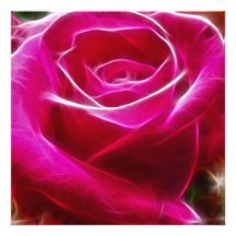 Roses Are Neon Pink Artistic & Unique Photo Print
