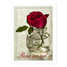 Roses are Red Postcard