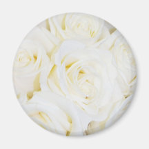 Roses_ blanc aimant