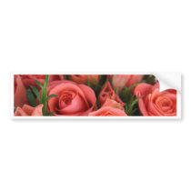 Roses Bumper Sticker