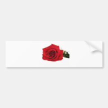 ROSES BUMPER STICKER