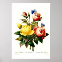 Roses by Pierre-Joseph Redouté Print